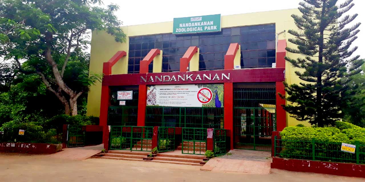 Nandankanan Zoological Park, Bhubaneswar Tourist Attraction