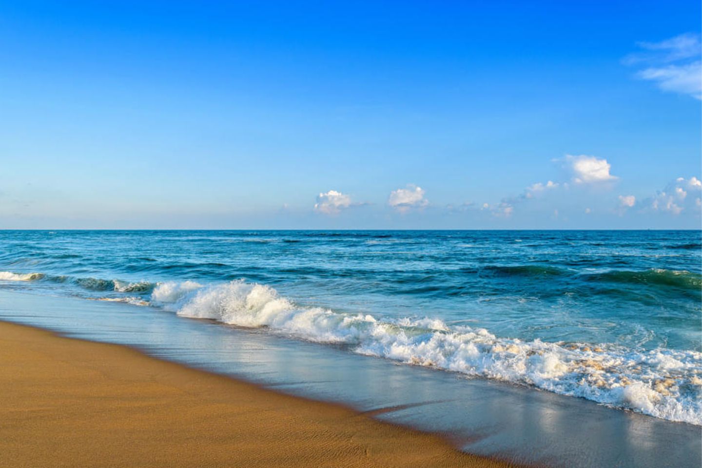 Model Beach Puri (Location, Activities, Night Life, Images, Facts & Things to do)