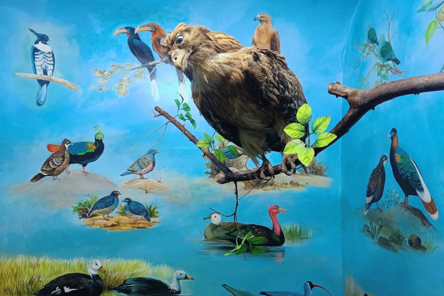 Regional Museum of Natural History Bhubaneswar